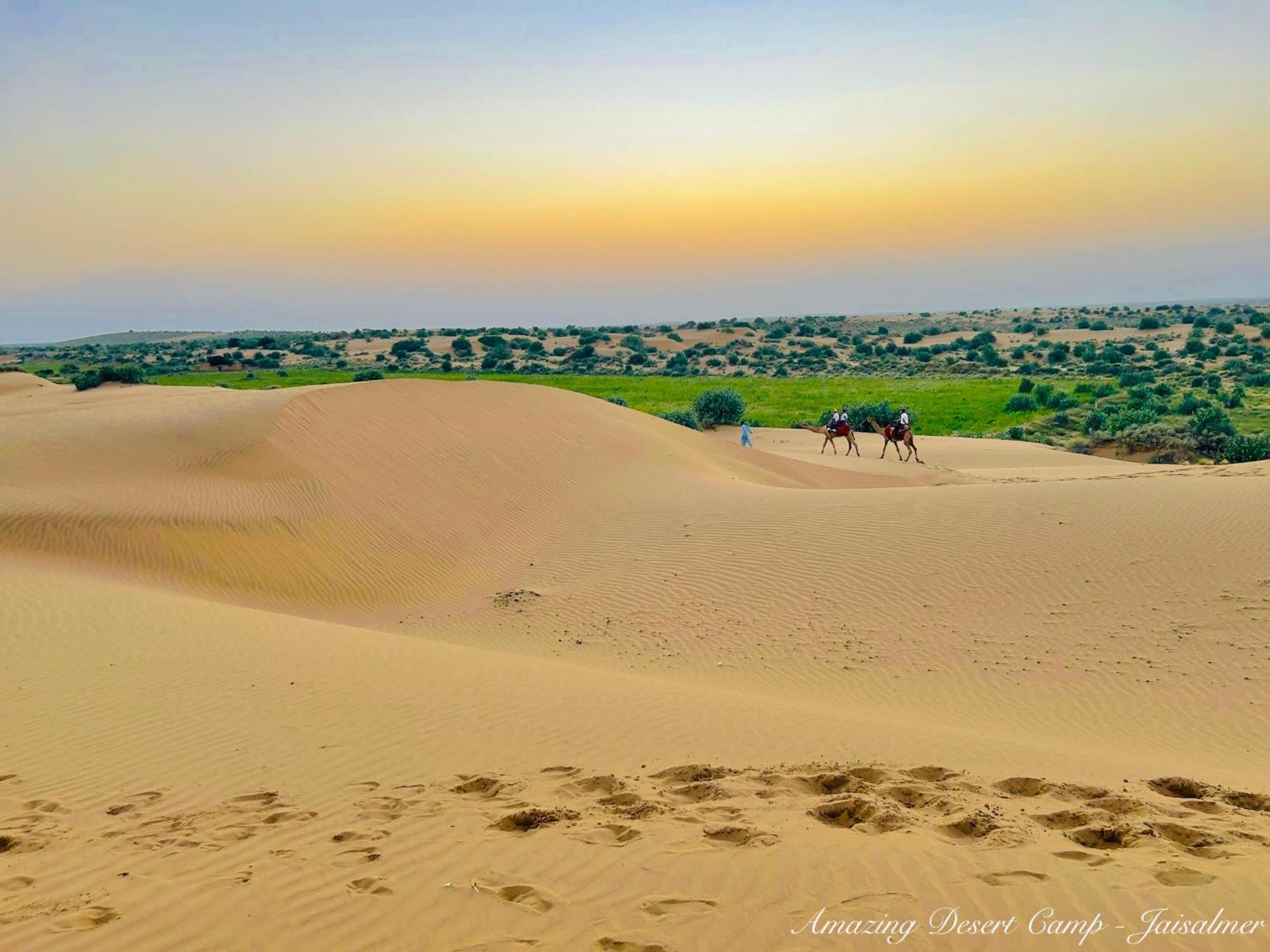 Amazing Desert Camp Jaisalmer Dış mekan fotoğraf